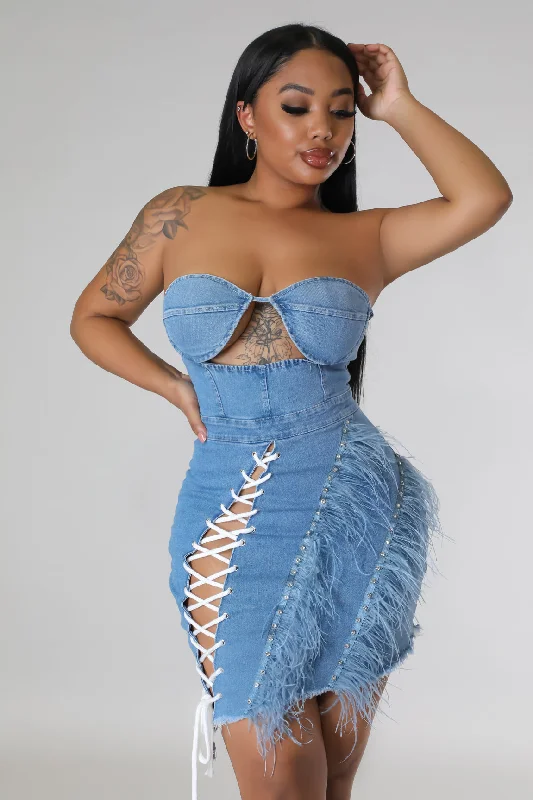 Closeout denim dressIvyisla Dress