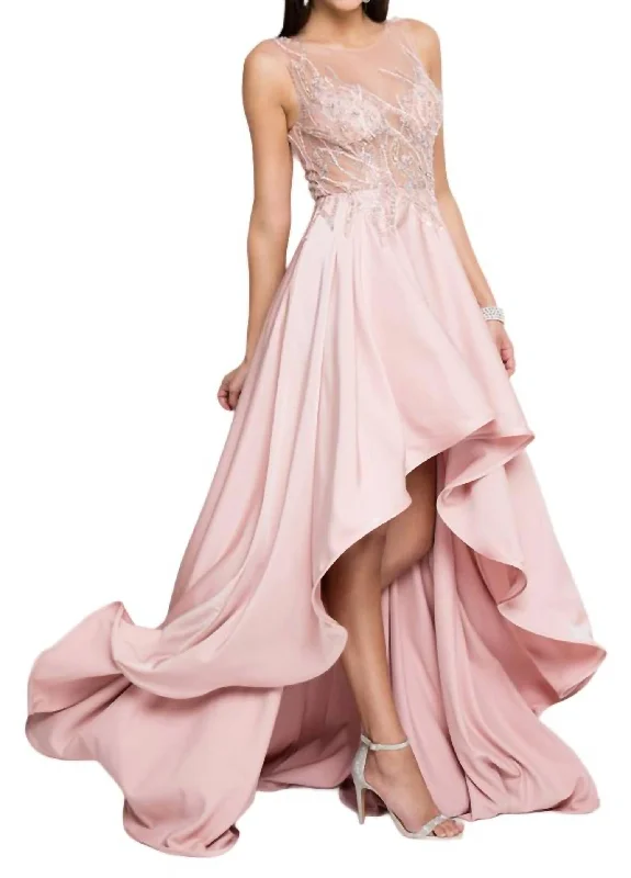 Today’s Deal velvet dressHi-Low Gown In Blush