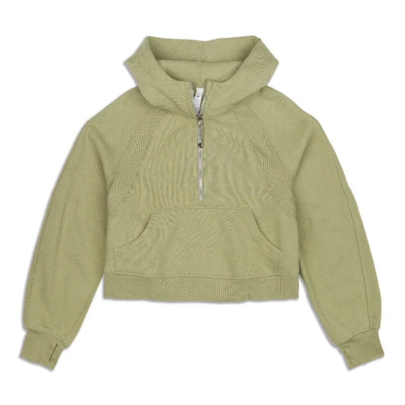 Price Drop Scuba Oversized Half-Zip Hoodie - Resale